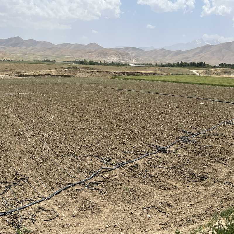 زمین پوشیده شده با نوار تیپ