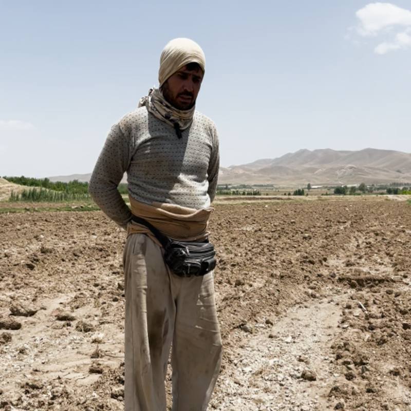 از بین بردن علف هرز