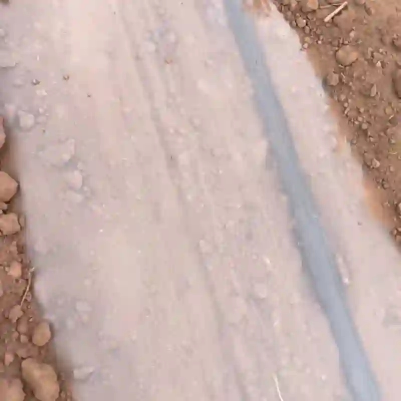 نایلون و نوار تیپ در زمین کشاورزی