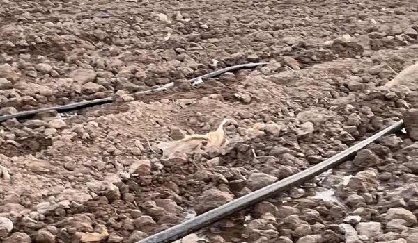 نوار تیپ روی زمین