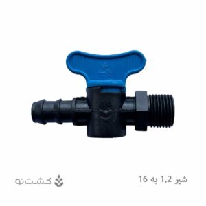 شیر 16 به 1/2