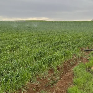 Screenshot-from-2025-09-16-14-53-54-300x300