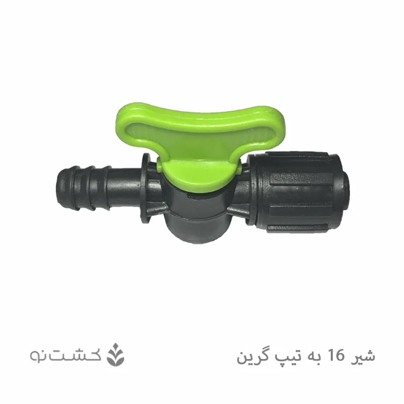 شیر 16 به تیپ گرین - سبز