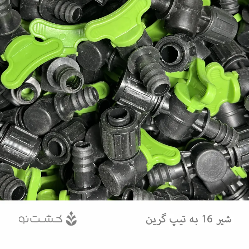 شیر 16 به تیپ گرین - سبز