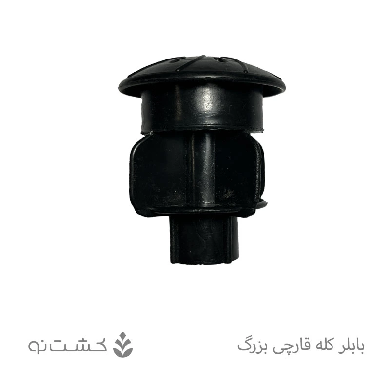 بابلر کله قارچی بزرگ