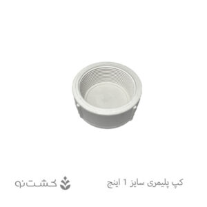 کپ پلیمری 1 اینچ
