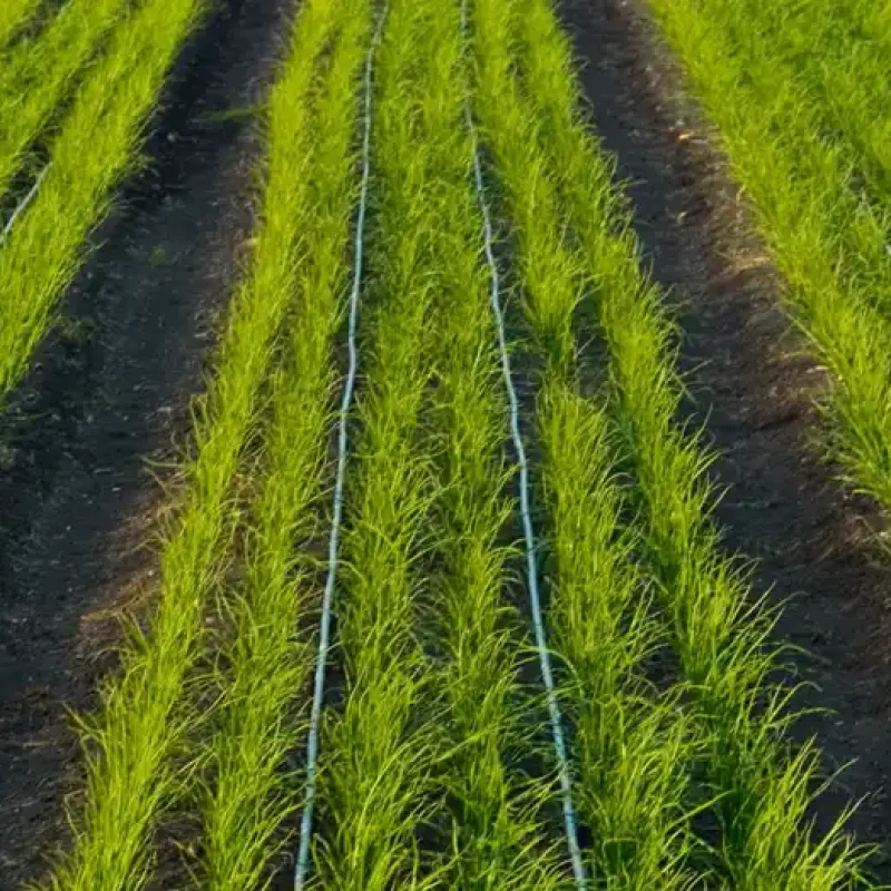 Blog2_Hero_1682x524 copy